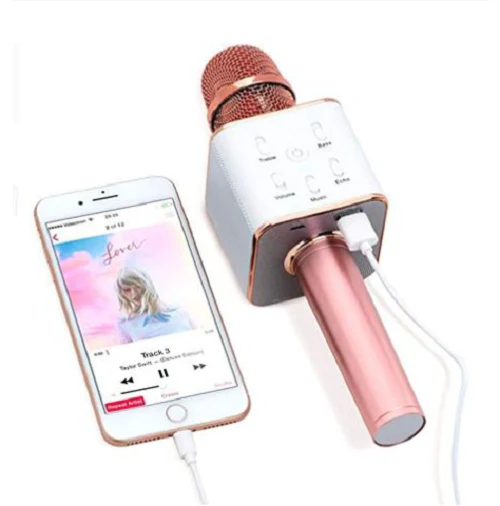 Royche Portable Karaoke Wireless Bluetooth 5.0 Microphone Speaker - Imported from UK